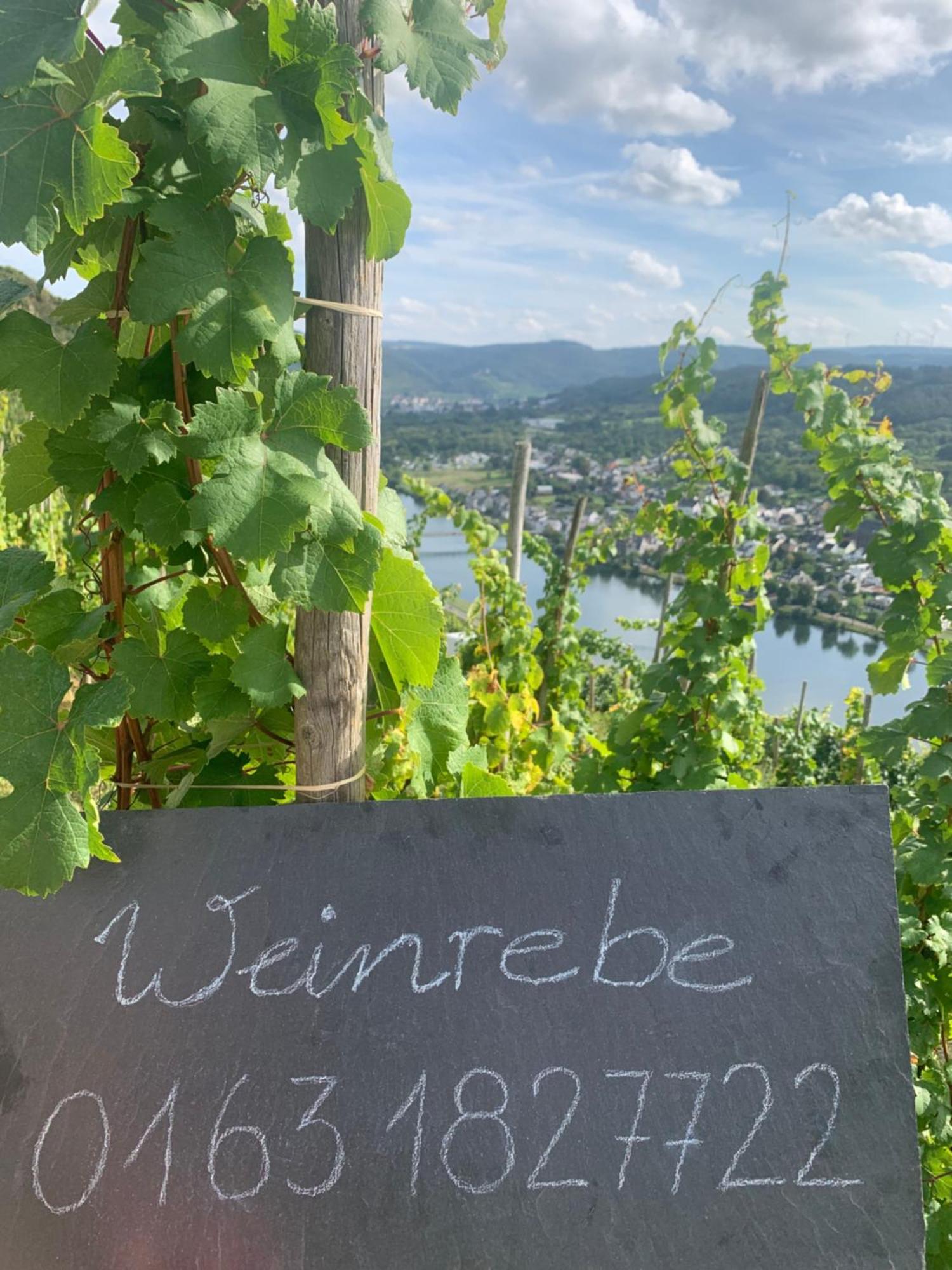 Weinrebe Apartamento Bernkastel-Kues Exterior foto